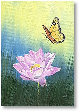 lotus with butterfly