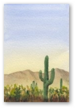 sahuaro