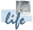 life