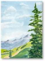 pine
